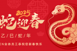 辭舊迎新，蛇舞華章丨深圳容金科技全體員工祝您新春快樂！